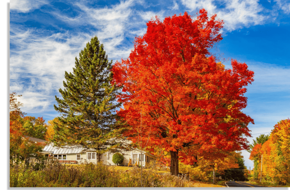 Anson ME Community Guide Allied Realty